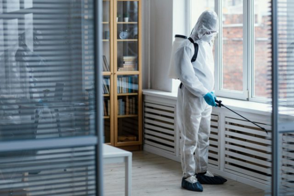 Как избавиться от плесени в доме и не дать ей вернуться даже через год