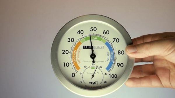 Как избавиться от плесени в доме и не дать ей вернуться даже через год