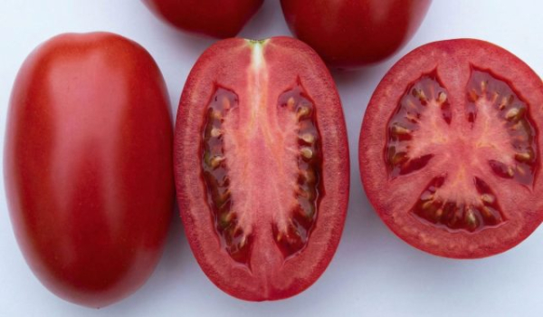 6 самых живучих и урожайных сортов томатов, которые я советую 6 самых живучих и урожайных сортов томатов, которые я советую