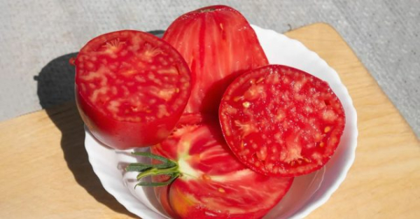 6 самых живучих и урожайных сортов томатов, которые я советую 6 самых живучих и урожайных сортов томатов, которые я советую