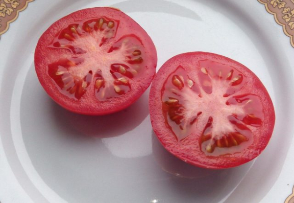 6 самых живучих и урожайных сортов томатов, которые я советую 6 самых живучих и урожайных сортов томатов, которые я советую