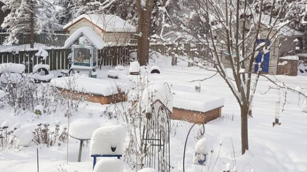 Что нельзя делать садоводам и огородникам в декабре Что нельзя делать садоводам и огородникам в декабре